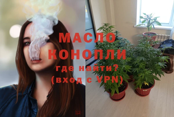 дмт Алзамай