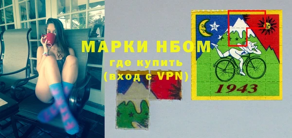 дмт Алзамай
