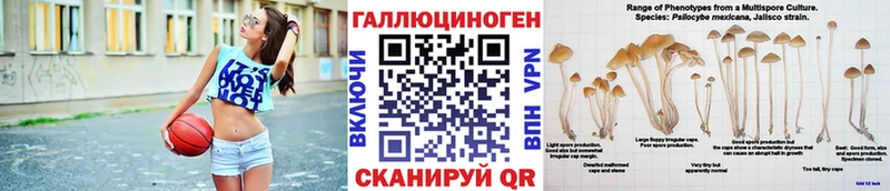 Галлюциногенные грибы MAGIC MUSHROOMS Цимлянск